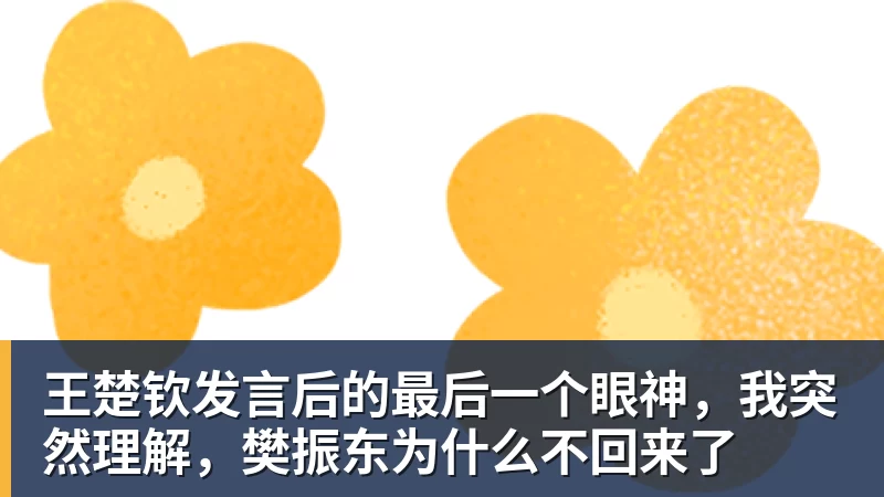王楚钦发言后的最后一个眼神，我突然理解，樊振东为什么不回来了